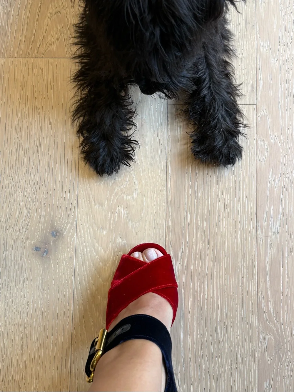 Prada Red Velvet Platform Sandal with Navy Ankle Strap - Picture 7 of 11